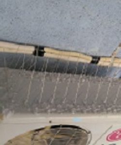 intelligent-bird-netting2